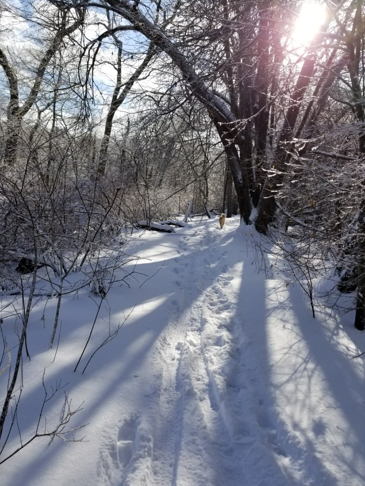 reinventrachel2point0