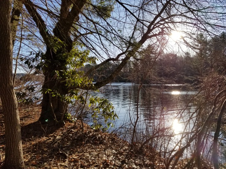 control rachel2point0